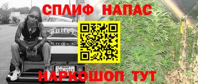ALPHA-PVP Новозыбков