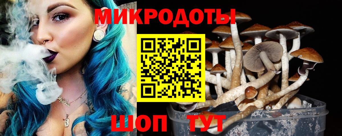 Псилоцибиновые грибы прущие грибы Юрга