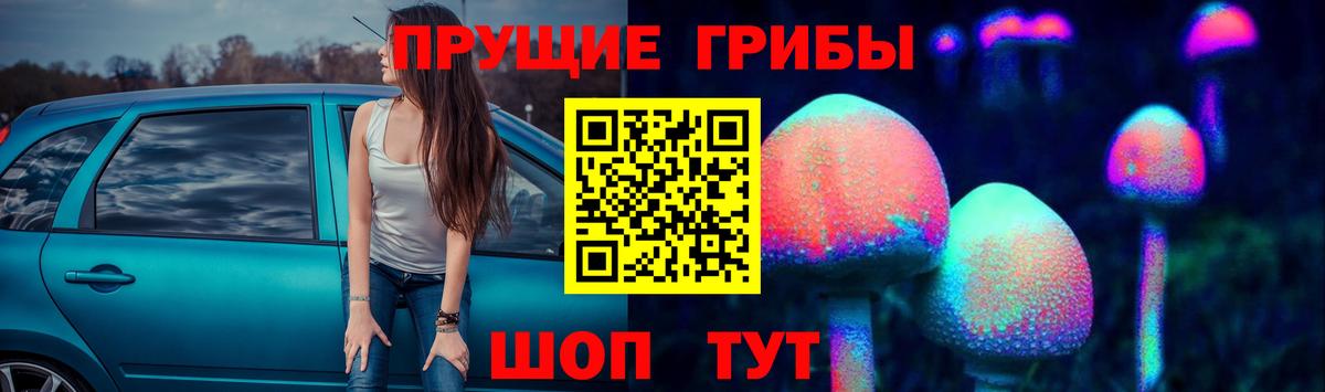 Юрга  Псилоцибиновые грибы Magic Shrooms  Псилоцибиновые грибы Cubensis  Вход с VPN 